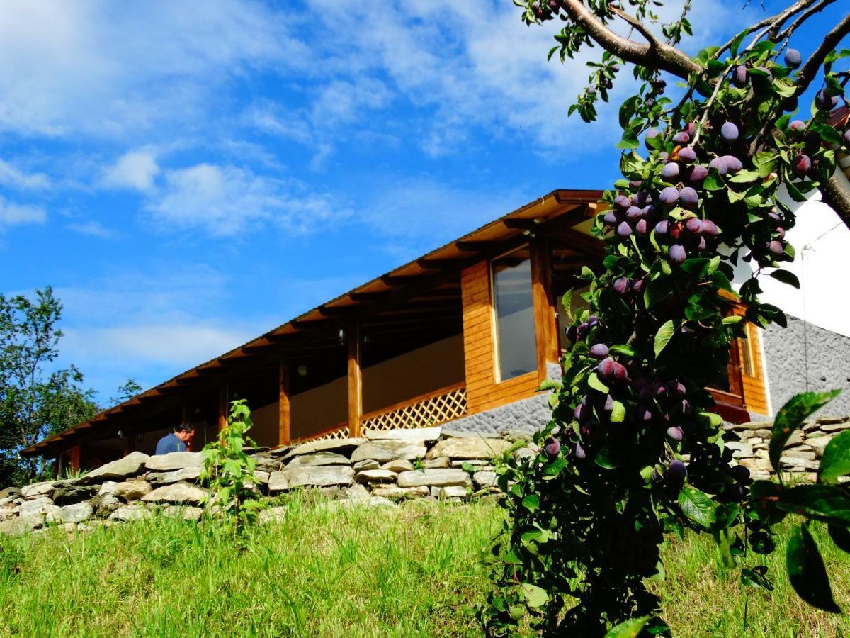 Casa Veche Corbeni Exterior foto